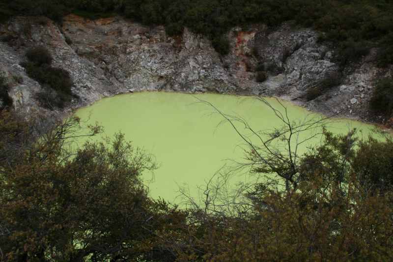 Nieuw-Zeeland 2011 - 0792